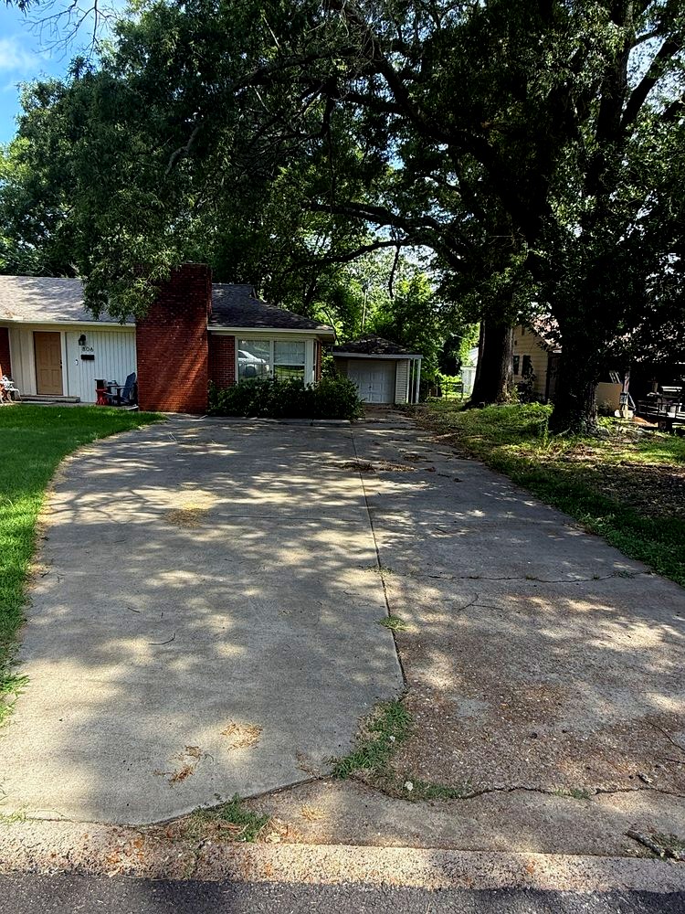 Driveway before washing