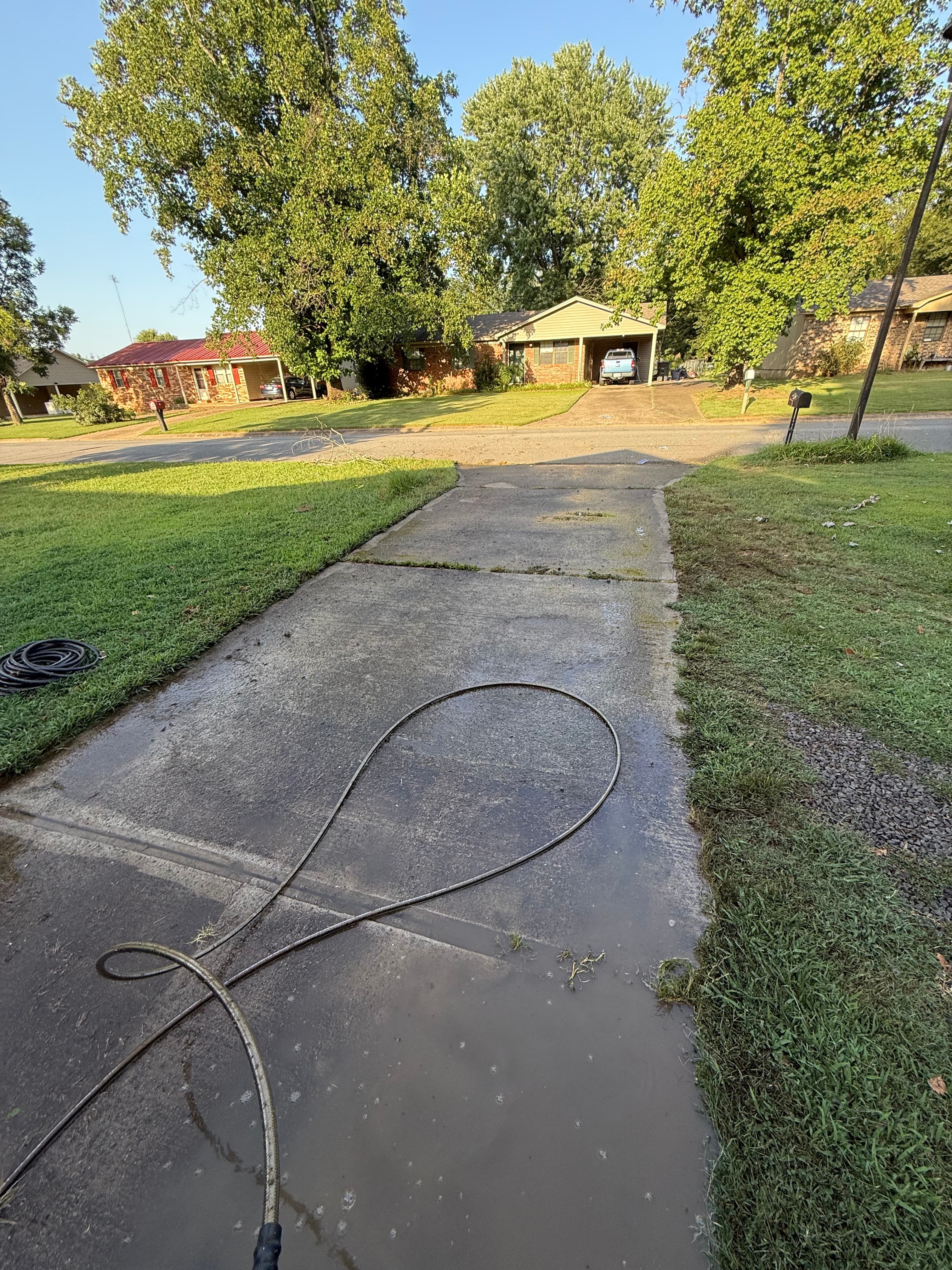 Driveway before washing