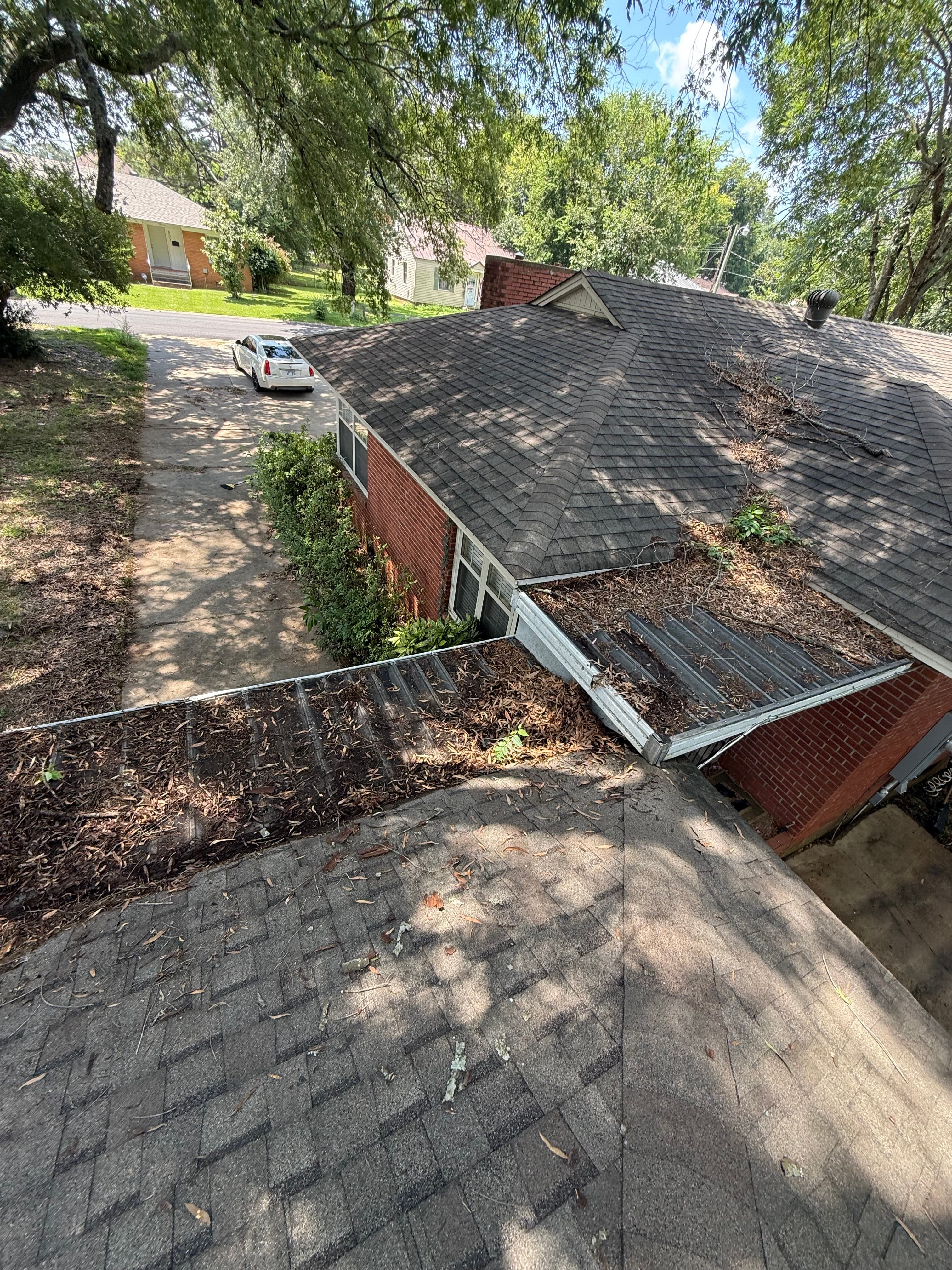 Roof before soft wash